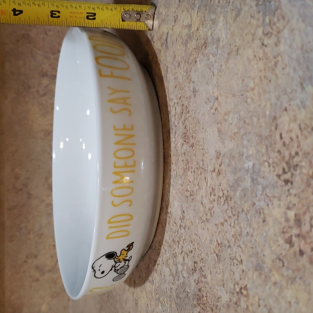 Snoopy Woodstock dinner bowl NWT - Picture 3 of 5